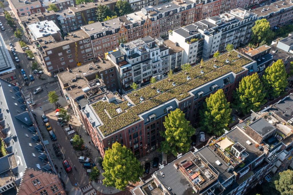 Modulair groen dak op een bestaand gebouw in Amsterdam met 7 bomen en 10.000 vaste planten,
gerealiseerd door The Urban Jungle Project ©René Post voor The Urban Jungle Project